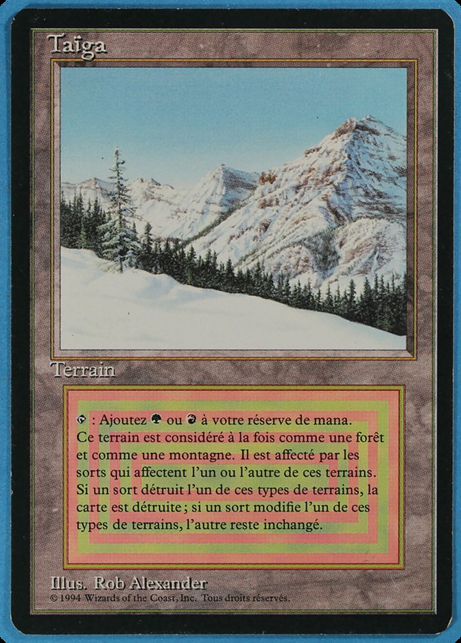 Taiga [Foreign Black Border] | Play N Trade Winnipeg