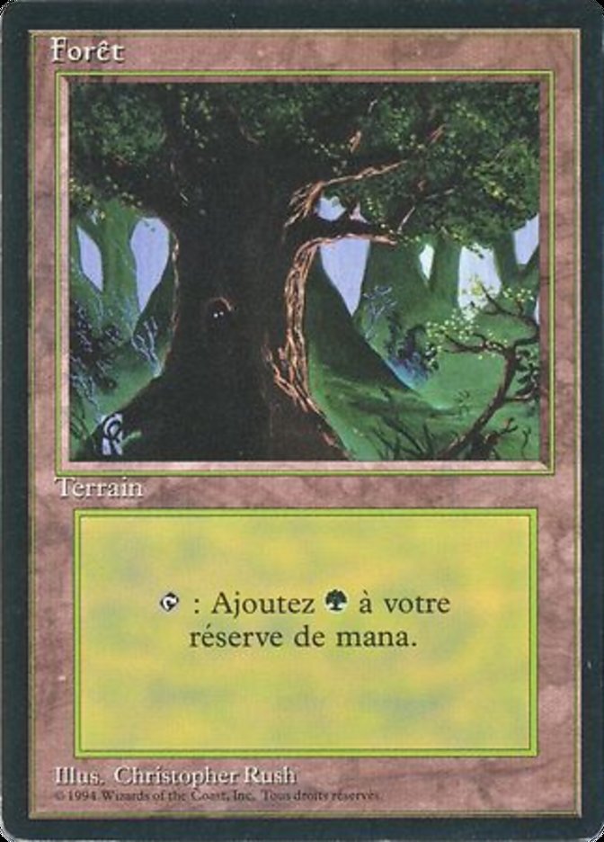 Forest (C) [Foreign Black Border] | Play N Trade Winnipeg