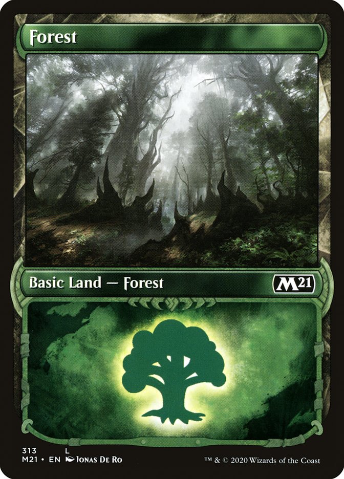 Forest (313) (Showcase) [Core Set 2021] | Play N Trade Winnipeg