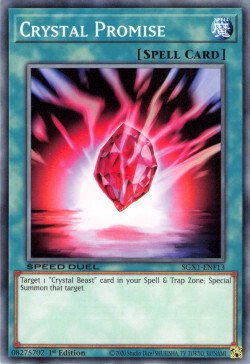 Crystal Promise [SGX1-ENF13] Common | Play N Trade Winnipeg