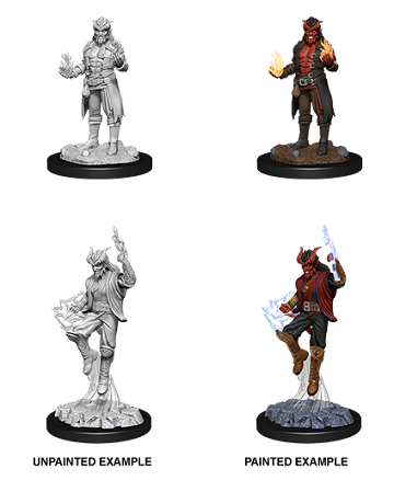 DND UNPAINTED MINIS WV12 MALE TIEFLING SORCERER | Play N Trade Winnipeg