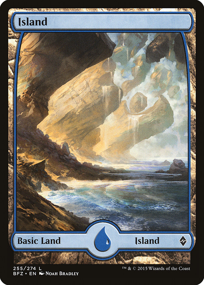 Island (255) [Battle for Zendikar] | Play N Trade Winnipeg