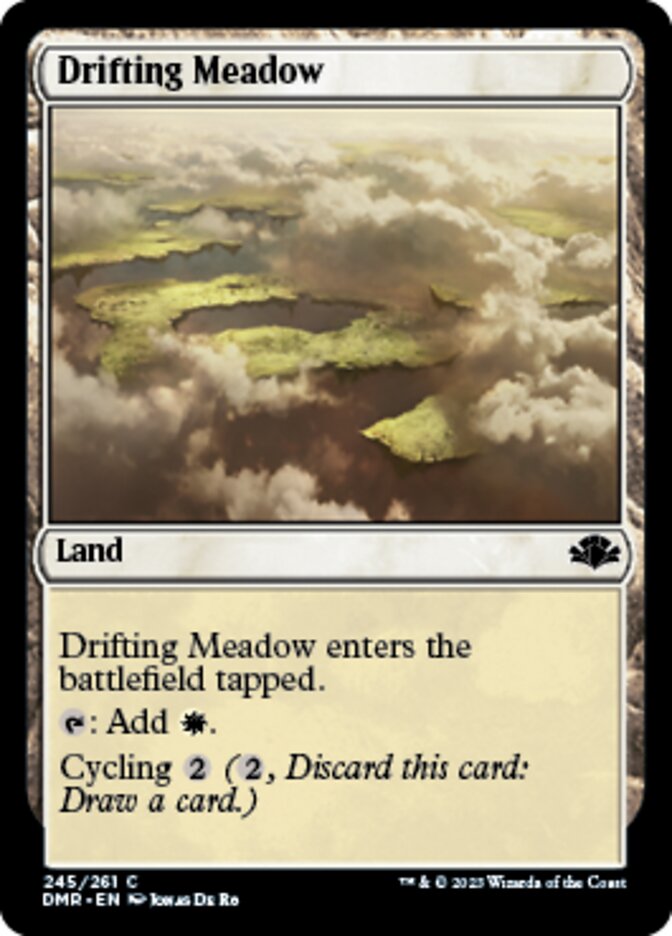 Drifting Meadow [Dominaria Remastered] | Play N Trade Winnipeg