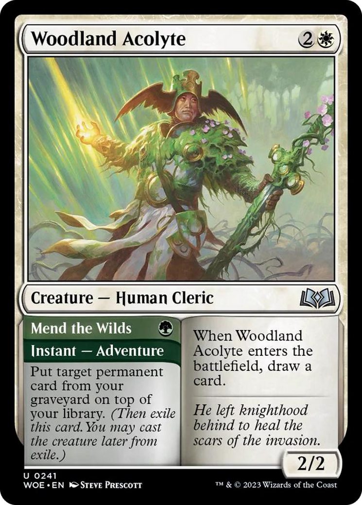 Woodland Acolyte // Mend the Wilds [Wilds of Eldraine] | Play N Trade Winnipeg