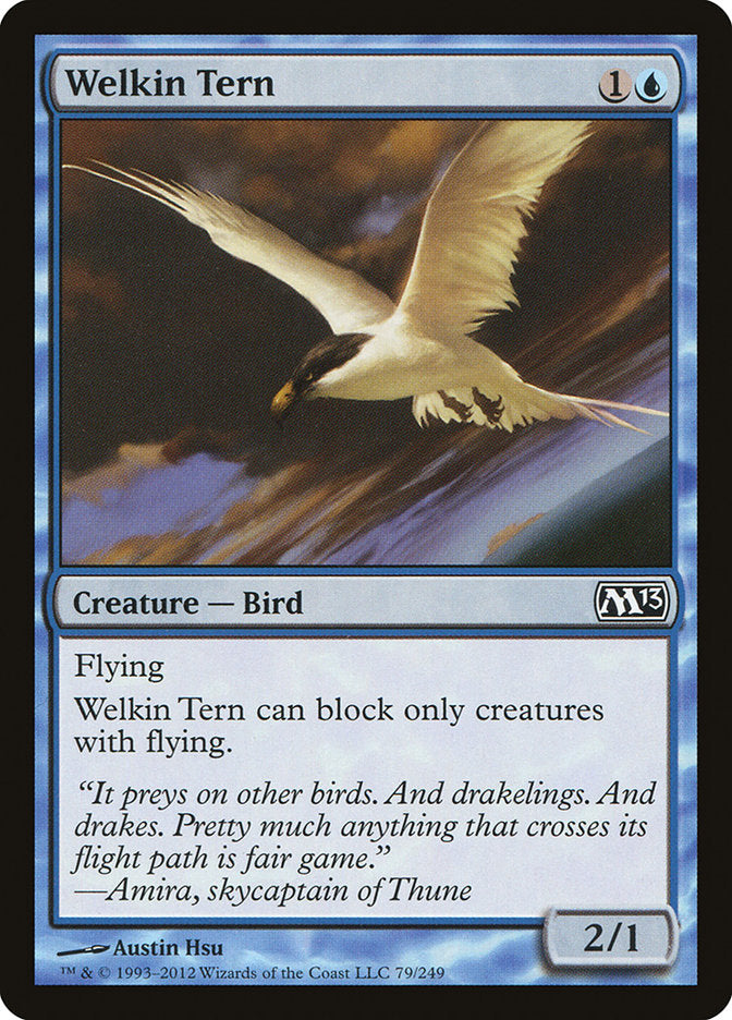 Welkin Tern [Magic 2013] | Play N Trade Winnipeg