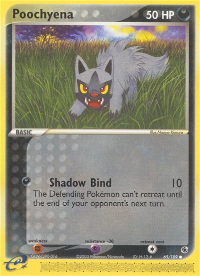 Poochyena (65/109) [EX: Ruby & Sapphire] | Play N Trade Winnipeg