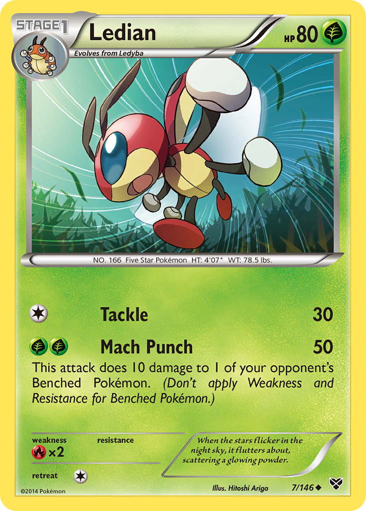 Ledian (7/146) [XY: Base Set] | Play N Trade Winnipeg