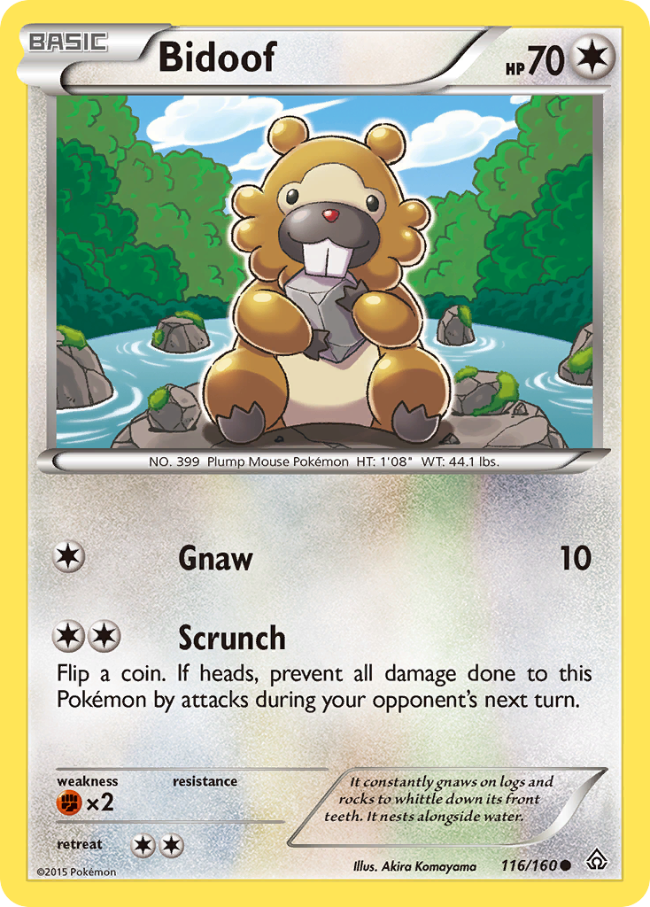 Bidoof (116/160) [XY: Primal Clash] | Play N Trade Winnipeg