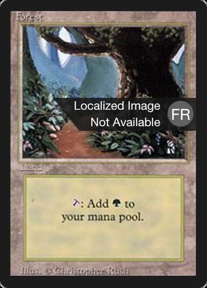 Forest (B) [Foreign Black Border] | Play N Trade Winnipeg