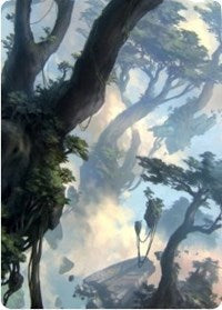 Forest 1 Art Card [Zendikar Rising Art Series] | Play N Trade Winnipeg