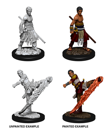 DND UNPAINTED MINIS WV10 MALE HALF-ELF MONK | Play N Trade Winnipeg